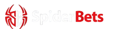 spiderbets casino transparency